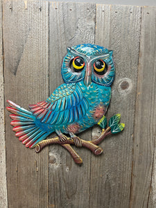 Owl - Multi Color