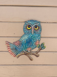 Owl - Multi Color