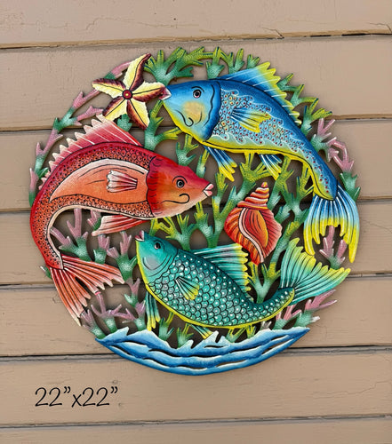 Fish Trio ALMOST 2 FEET!