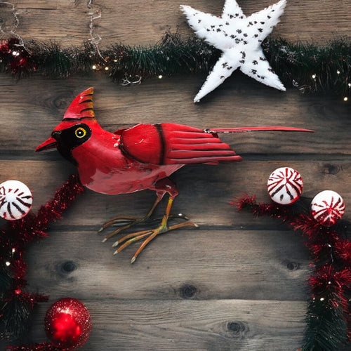 Cardinal - Standing