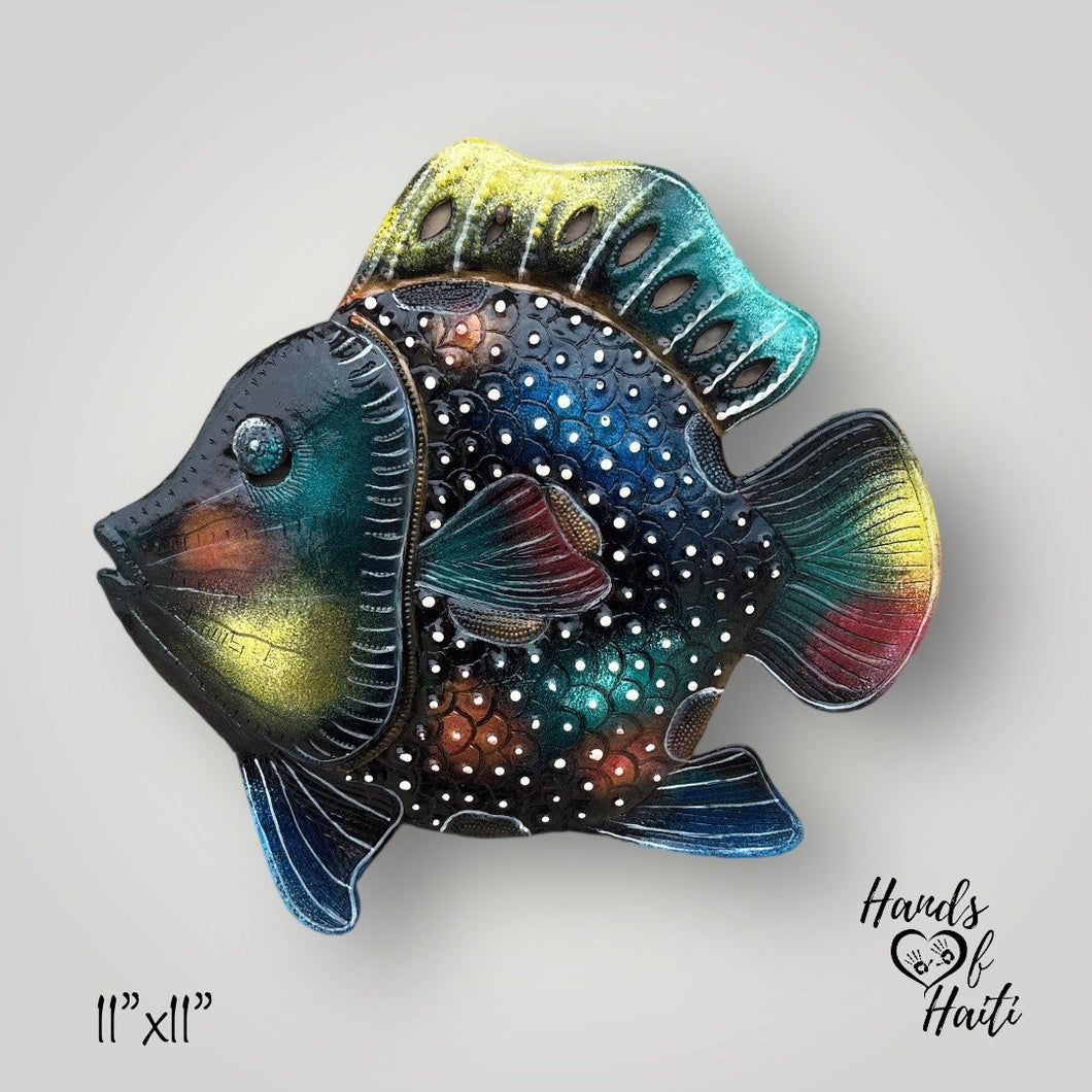 Multi Colored Fish
