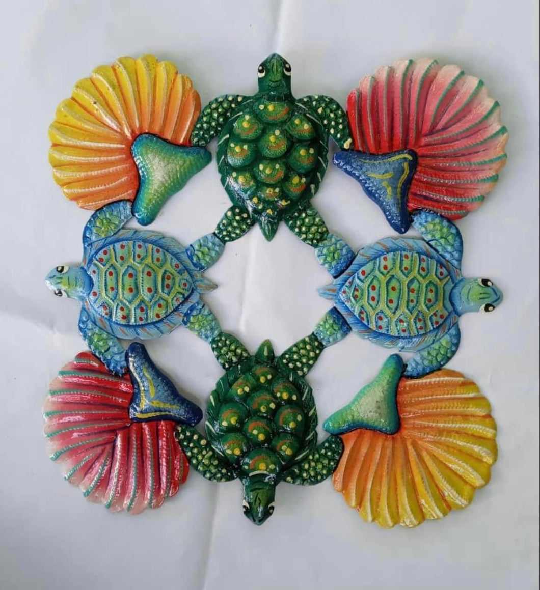 Turtle and Shells