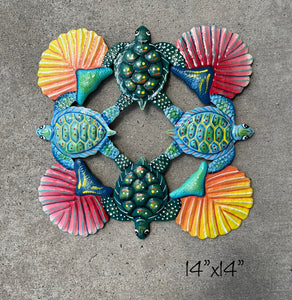 Turtle and Shells