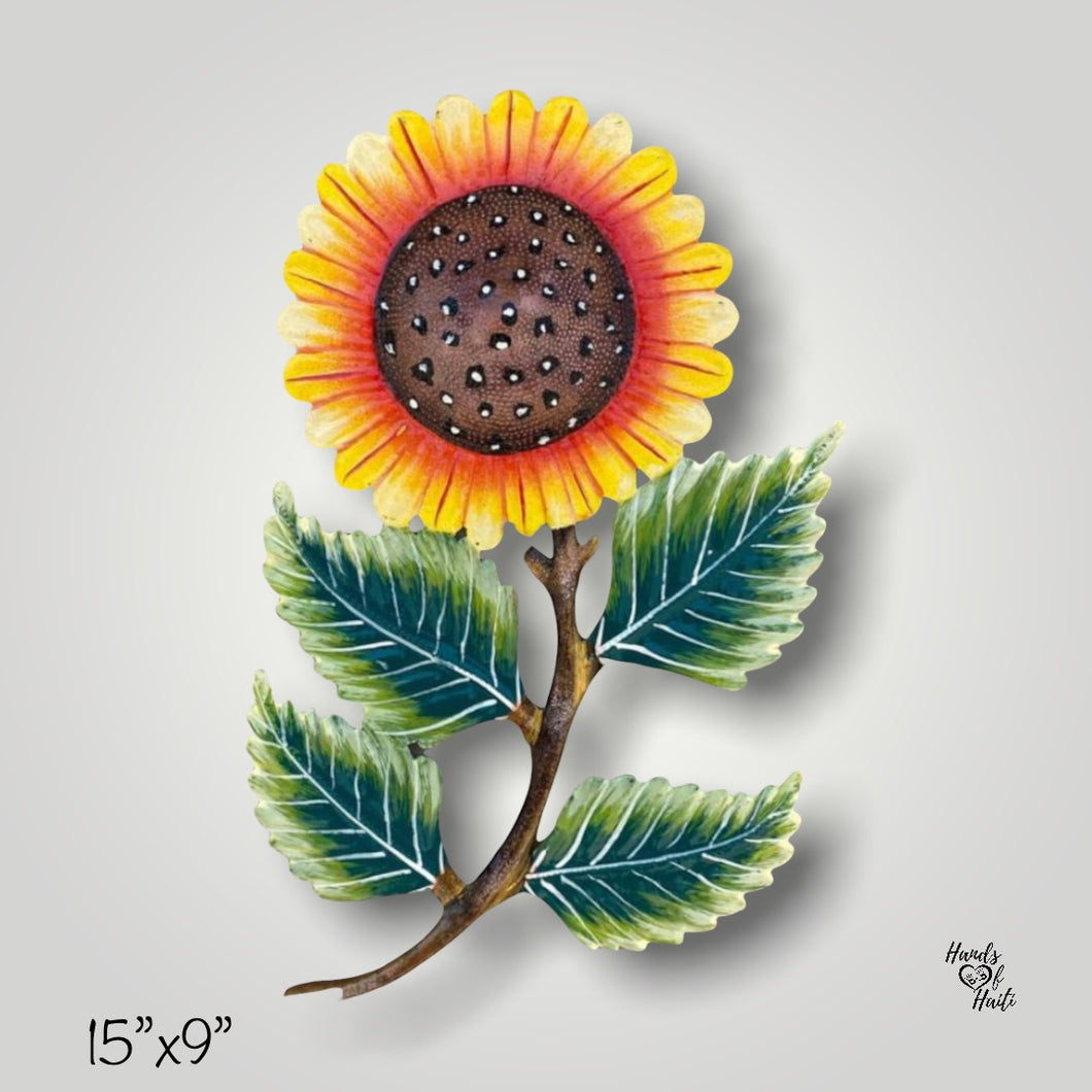 Beautiful Sunflower 🌻